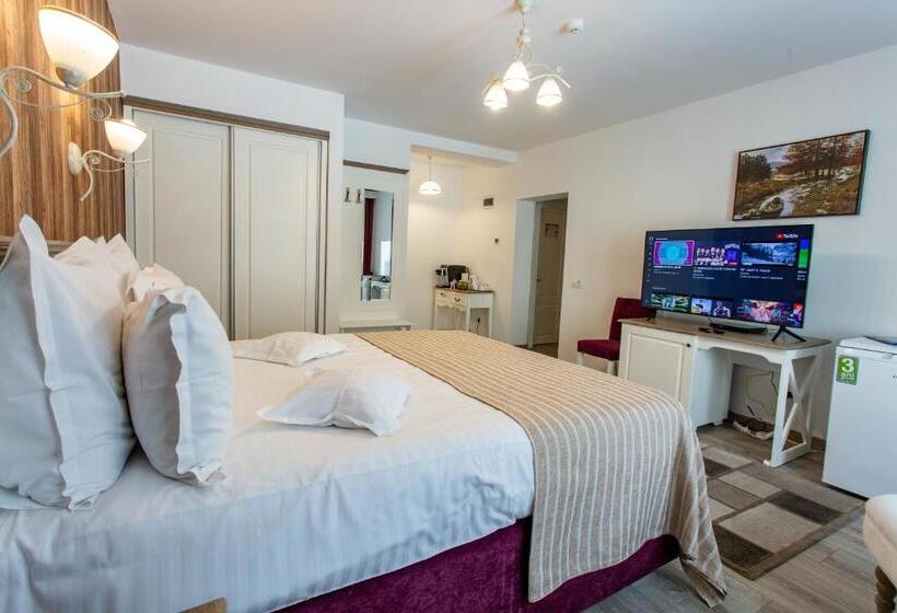 Номер Deluxe, Pensiunea Carmen`s Mansion B