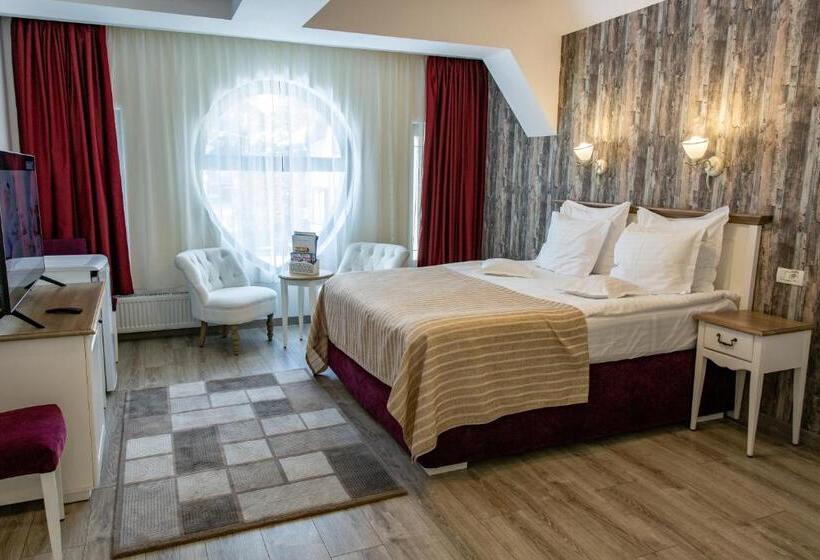 Стандартный Номер Кровать Кинг, Pensiunea Carmen`s Mansion B