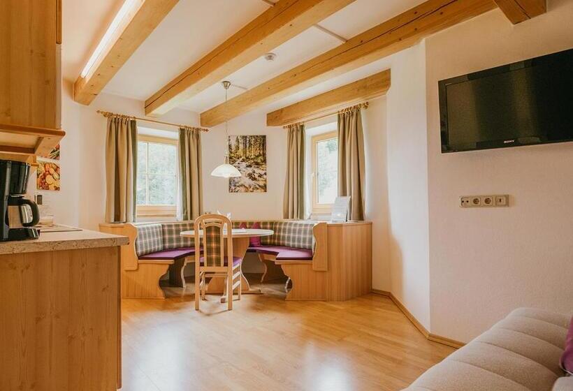 آپارتمان 2 خوابه, Hoferhof Ski In & Ski Out Hotel Schladming  Dachstein