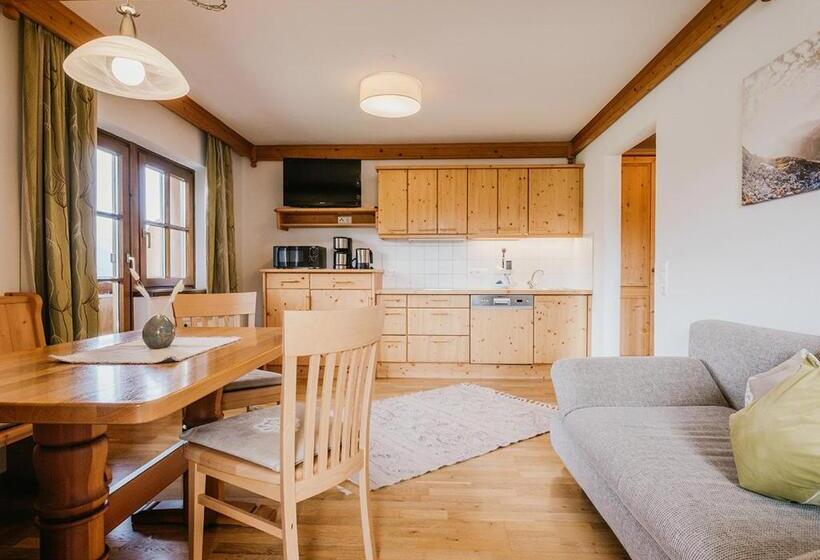 آپارتمان 3 خوابه, Hoferhof Ski In & Ski Out Hotel Schladming  Dachstein