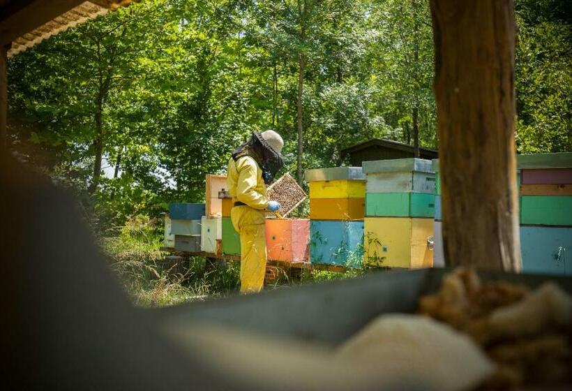Номер Стандарт Индивидуальный, Settecentoalberi Agriturismo