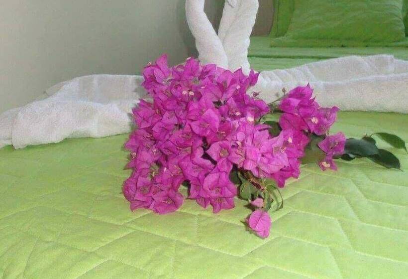 Четырехместный Номер Стандарт, Hostal Casa Cascada