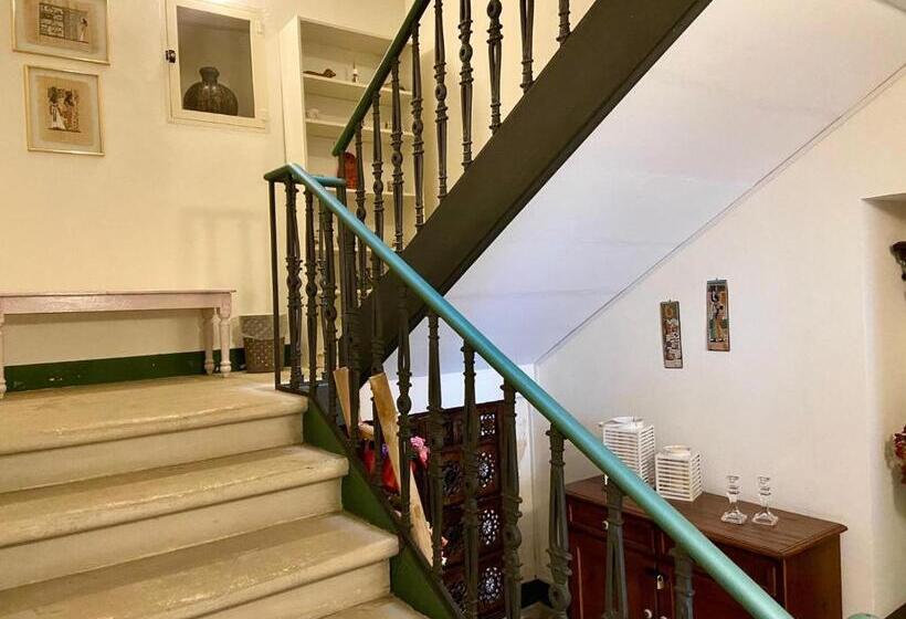 Номер Стандарт, Il Torrino