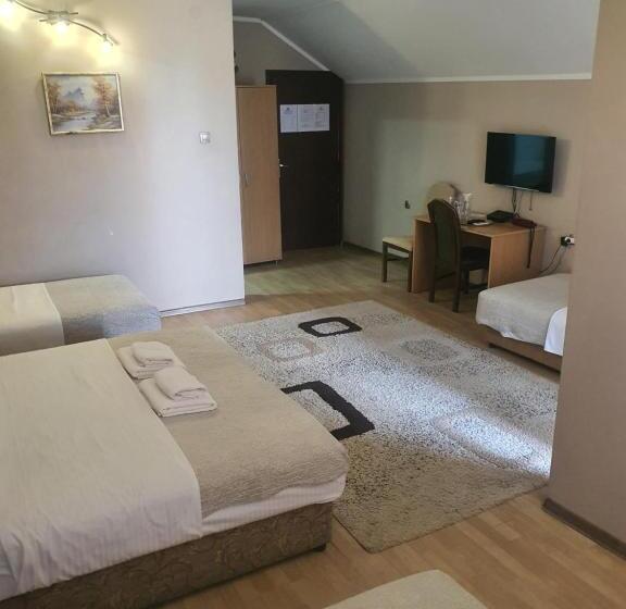 اتاق خانوادگی, Guest House Vila Bor