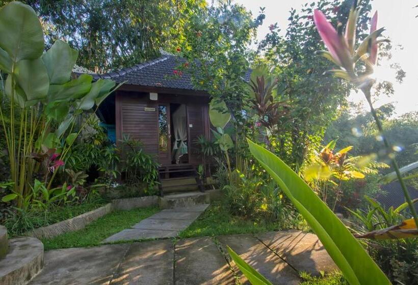 디럭스 룸, Villa Wedang