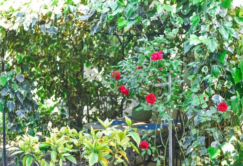 اتاق استاندارد با تخت بزرگ, Sofia