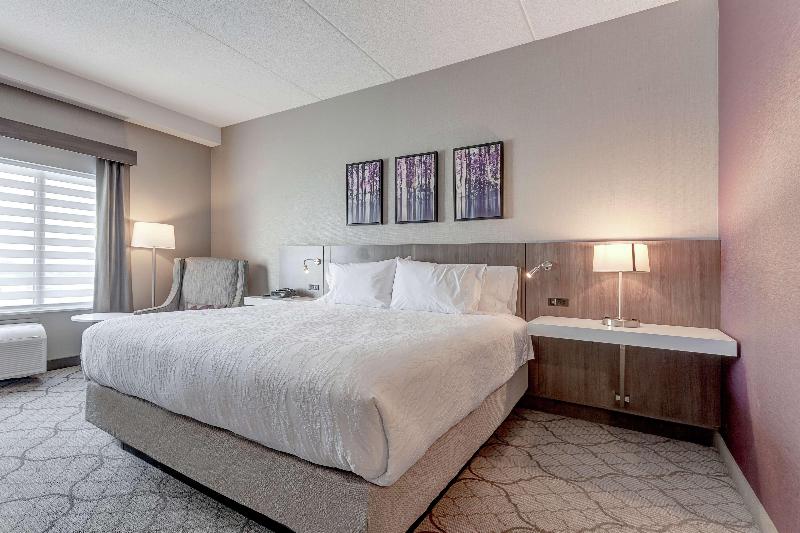 اتاق استاندارد با تخت بزرگ, Hilton Garden Inn Toronto Brampton West