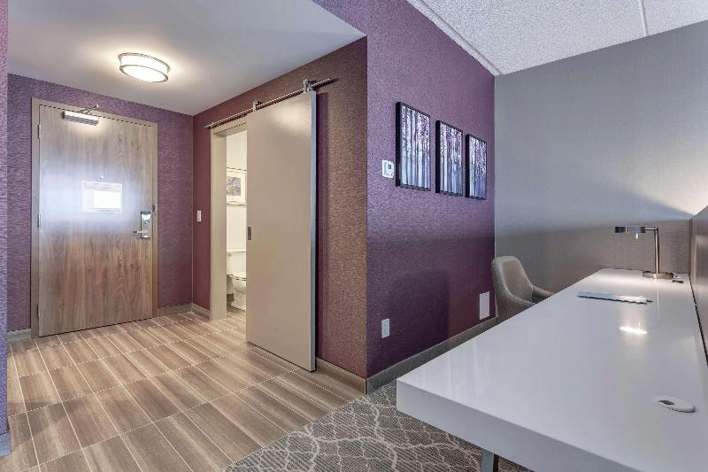 اتاق لوکس با تخت بزرگ, Hilton Garden Inn Toronto Brampton West