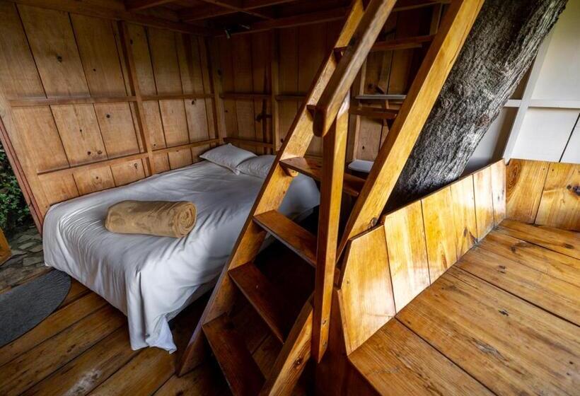 اتاق استاندارد, Earth Lodge