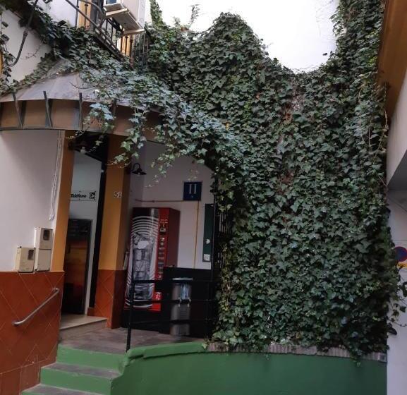 اتاق استاندارد, Hostal Alcobia