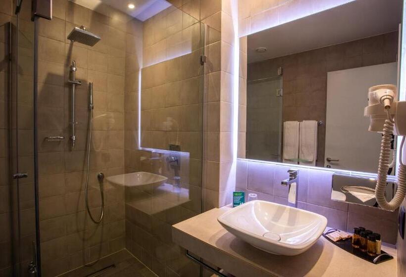اتاق استاندارد, Holiday Inn Telavi, An Ihg