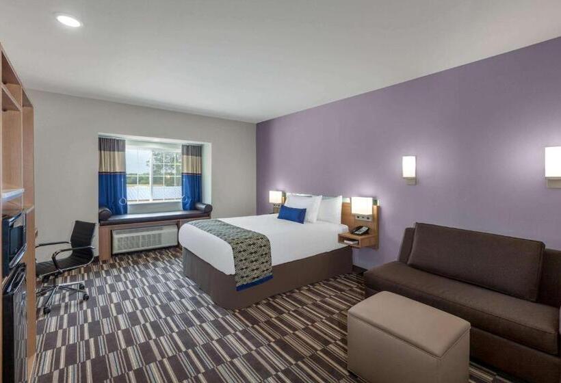 Номер Стандарт Адаптированный для Инвалидов, Microtel Inn & Suites By Wyndham College Station