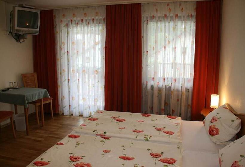 Номер Стандарт, Pension Holzapfel
