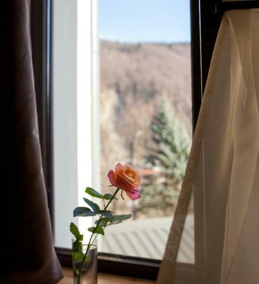 스파 이용가능한 스탠다드 룸, Baron Spa Hotel   Museum Yaremche