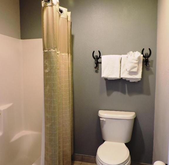Номер Deluxe, Riata Inn   Presidio