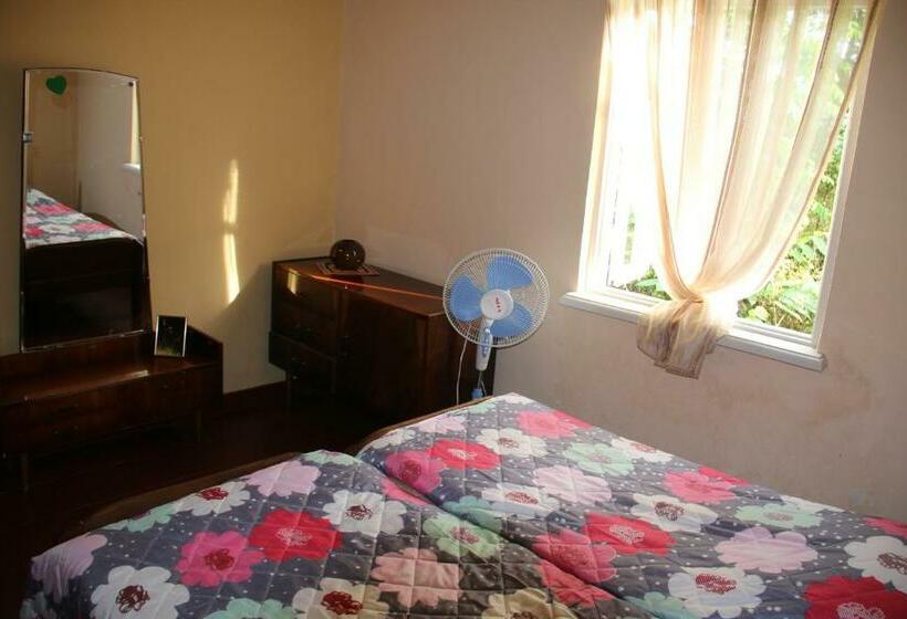 اتاق اکونومی, Achi Guest House