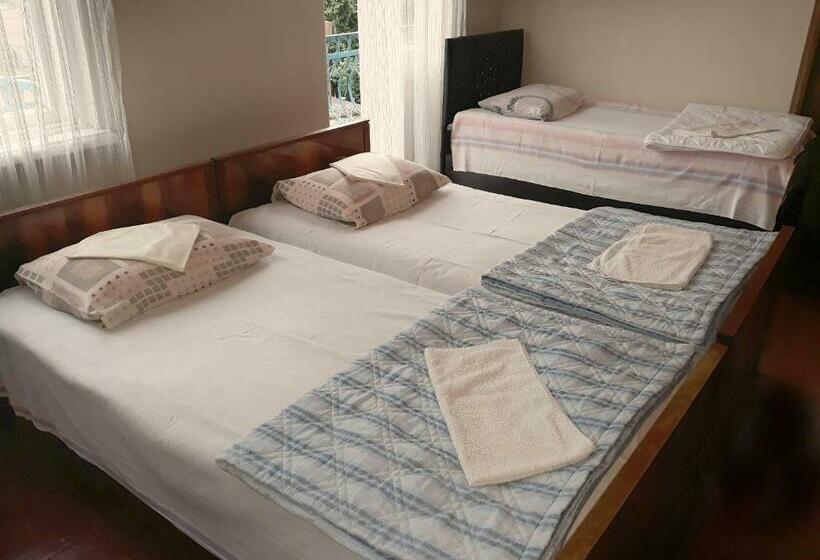 اتاق استاندارد سه تخته با بالکن, Achi Guest House