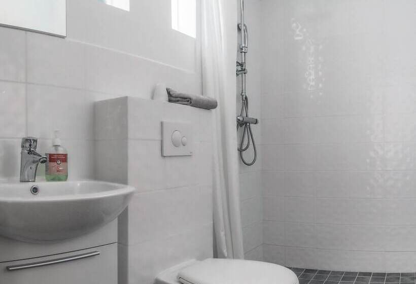 اتاق استاندارد با سرویس بهداشتی مشترک, Seydisfjördur Guesthouse