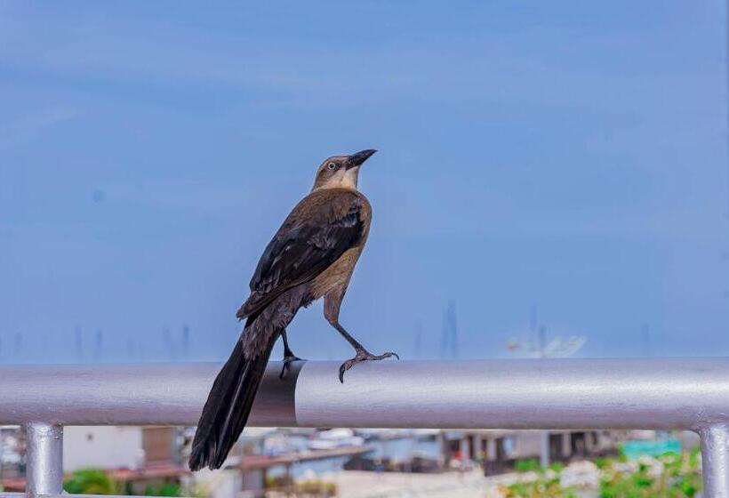 اتاق لوکس با چشم‌انداز دریا, Sol Inn Santa Marta