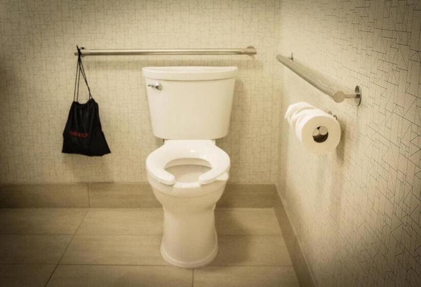 Suíte para Deficientes Físicos, Holiday Inn Express & Suites   Boston South   Randolph, An Ihg