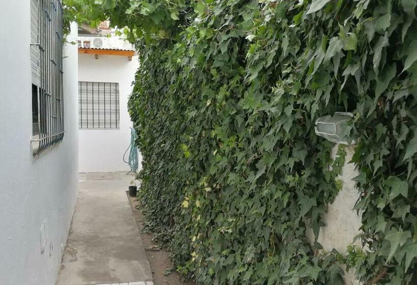 Quarto Estandar, Alojamiento Turistico Mainque