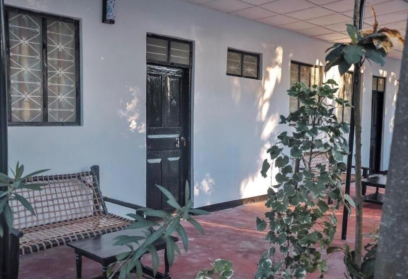 Номер Superior Кровать Кинг, Papaya Guest House Nungwi