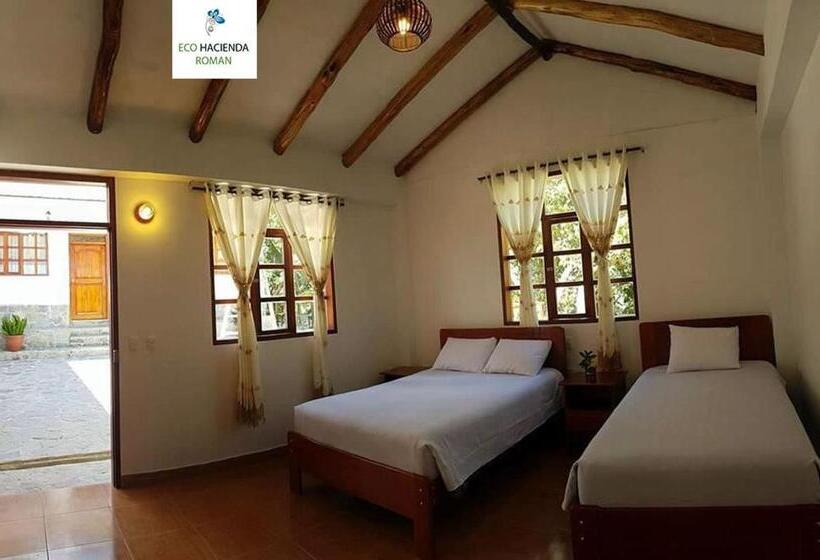اتاق استاندارد, Eco Hacienda Roman