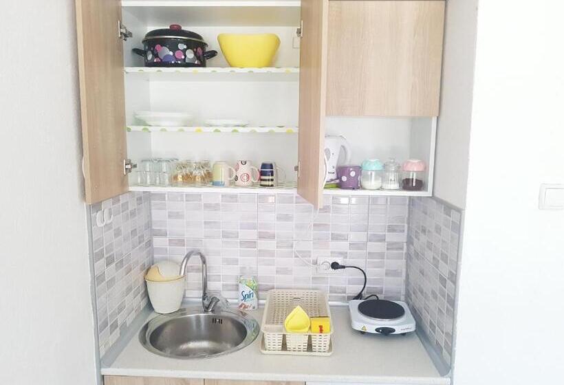 استودیو استاندارد با چشم‌انداز باغ, Apartment Elmari
