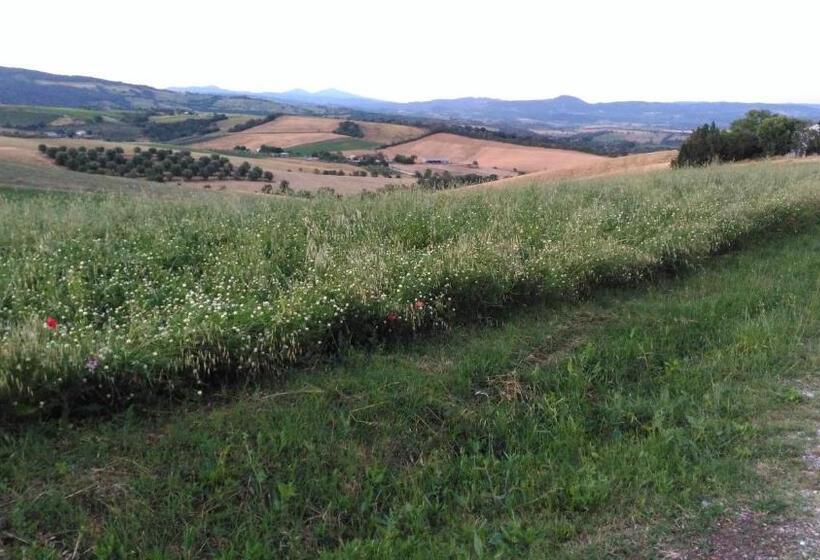 ２ベッドルームアパートメント, Agriturismo Uliveto Gretacci