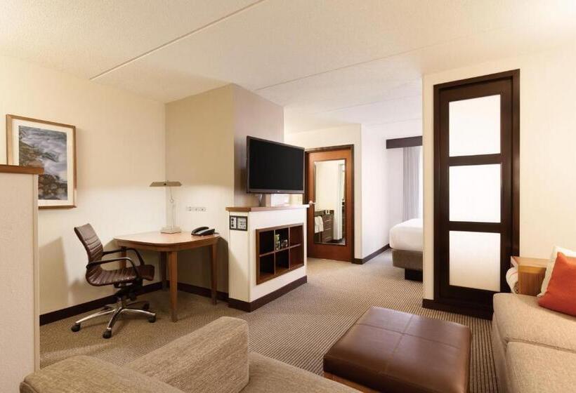 Номер Стандарт Кровать Кинг Адаптированный для Инвалидов, Hyatt Place Austin Cedar Park