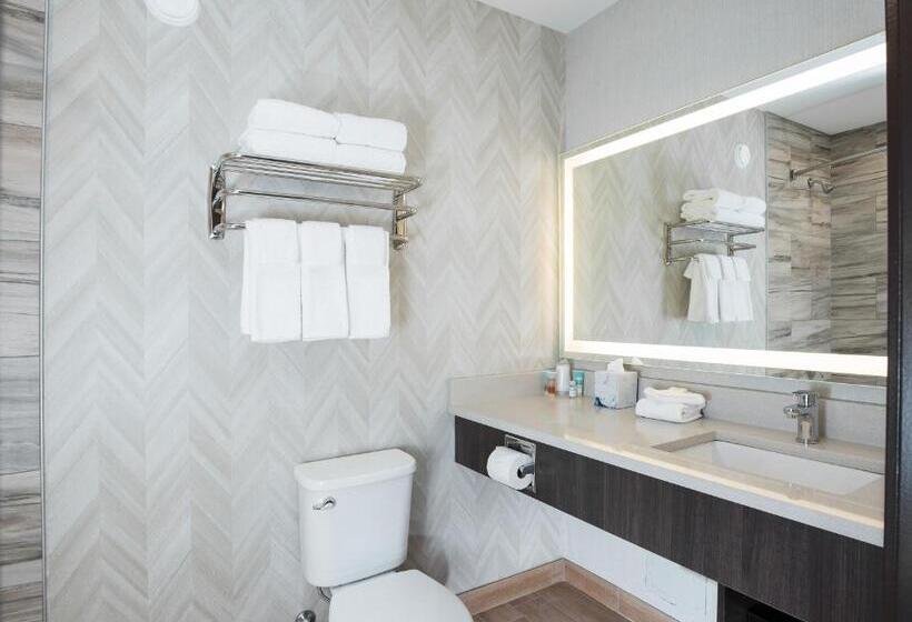 اتاق لوکس با تخت بزرگ, Pomeroy Inn & Suites Prince George