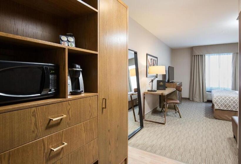 اتاق لوکس با تخت بزرگ, Pomeroy Inn & Suites Prince George