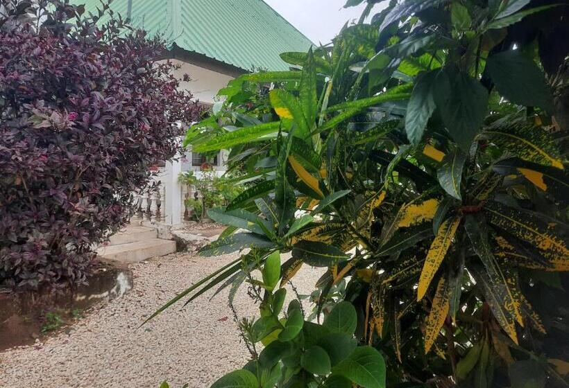 标准三人间, Amesbungalows