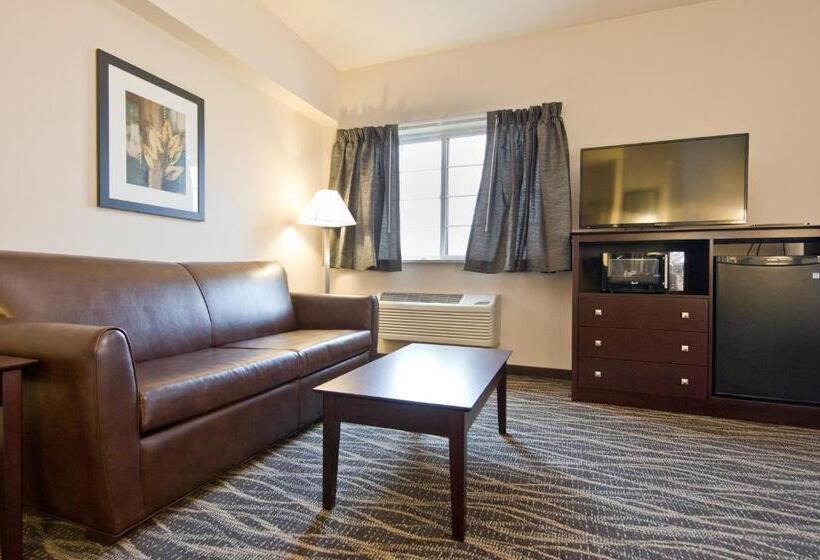 Номер Стандарт, Cobblestone Inn & Suites  Boone