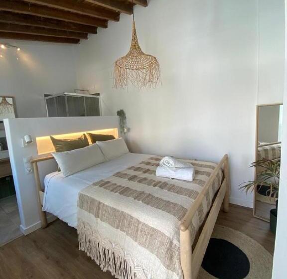 اتاق سوپریور, The Urban Jungle Hostel