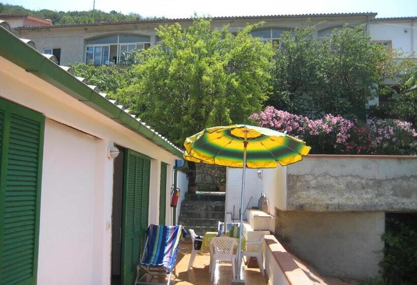 آپارتمان خانوادگی, Mandel Club