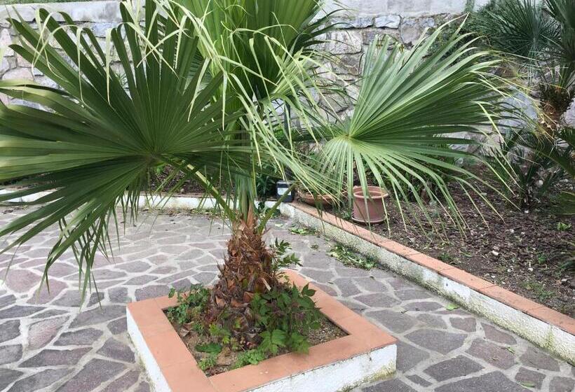 آپارتمان سوپریور 1 خوابه, Mandel Club