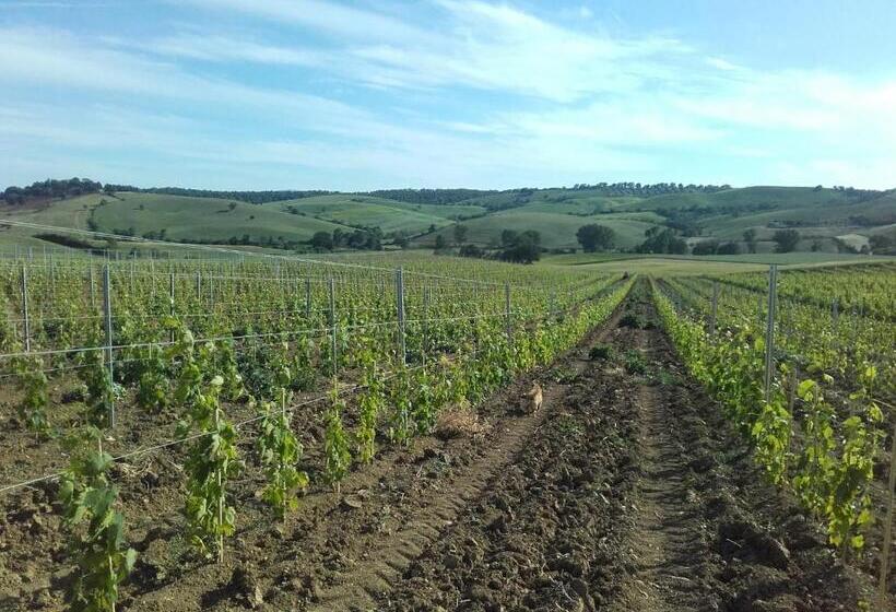 Студия Стандарт, Agriturismo Da Remo