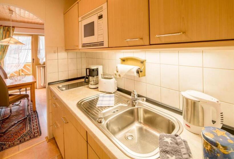 آپارتمان 1 خوابه با بالکن, Ferienhotel Sonnenheim