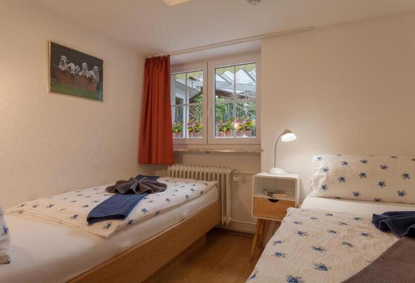 آپارتمان لوکس 2 خوابه, Ferienhotel Sonnenheim