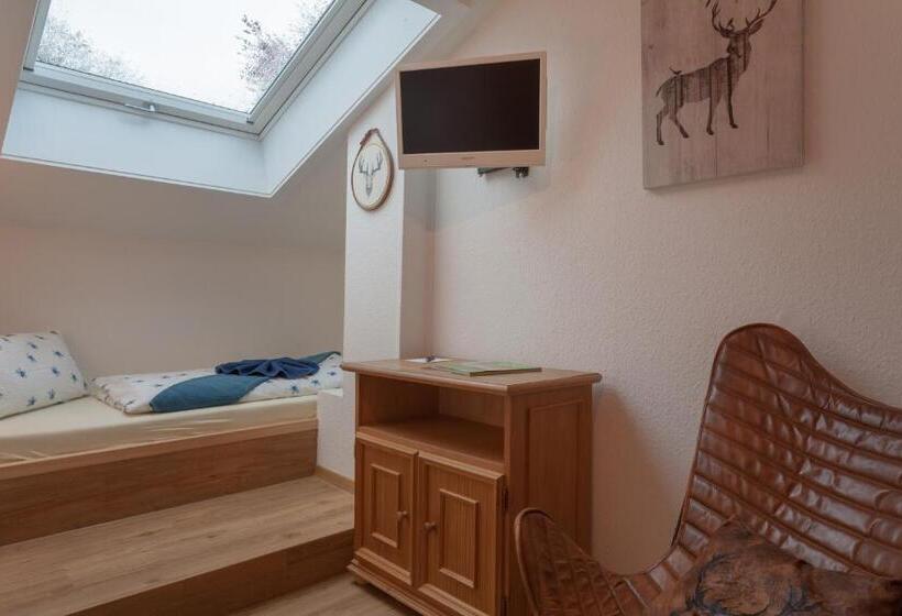 اتاق عادی یک تخته, Ferienhotel Sonnenheim