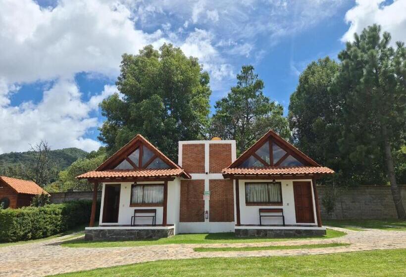 小室, Finca Los Angeles Hospederia & Sociales
