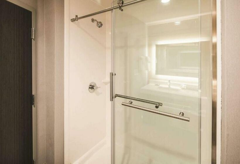 스탠다드 룸 킹사이즈 침대, La Quinta Inn & Suites By Wyndham Atlanta South   Mcdonough