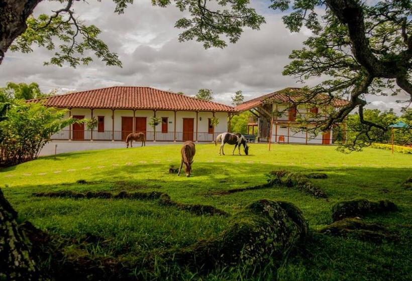 패밀리 룸, Hacienda El Samán