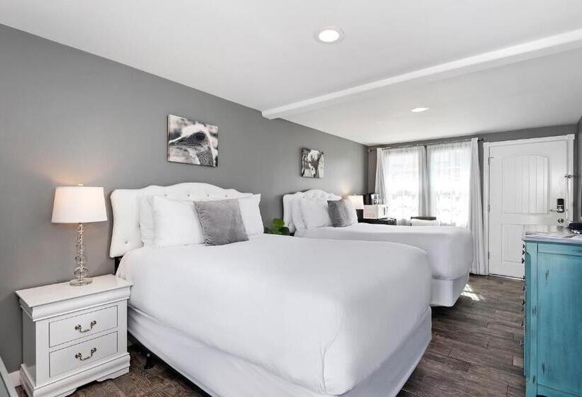 스탠다드 룸 더블 침대 2개, New Haven Inn