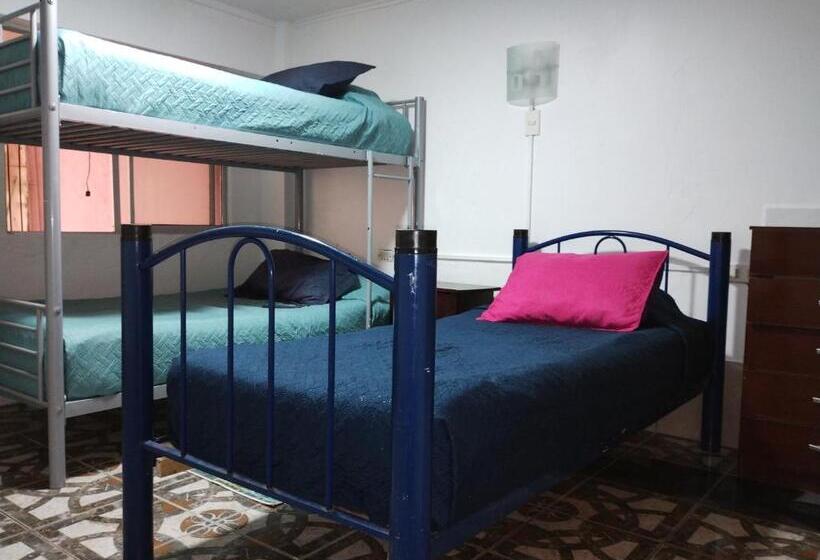 تختخواب در اتاق مشترک, Hostal Mi Maravilla