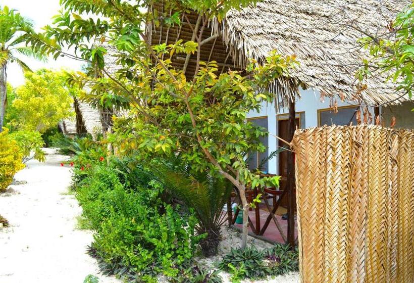 Номер Стандарт Индивидуальный, New Jambo Bungalows