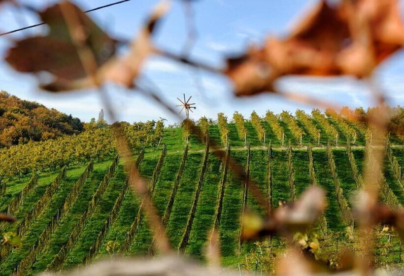 Номер Deluxe с Балконом, Weingut Zirngast
