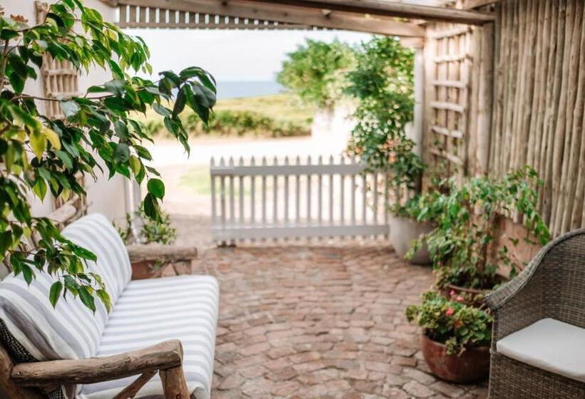 آپارتمان 1 خوابه با چشم‌انداز دریا, Pebbles Beach Cottage