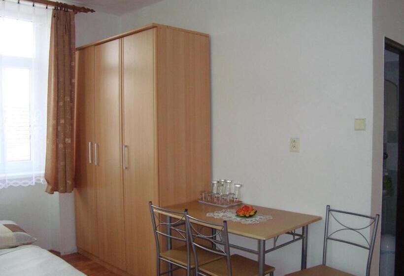 Пятиместный Стандартный Номер, Penzion Adria